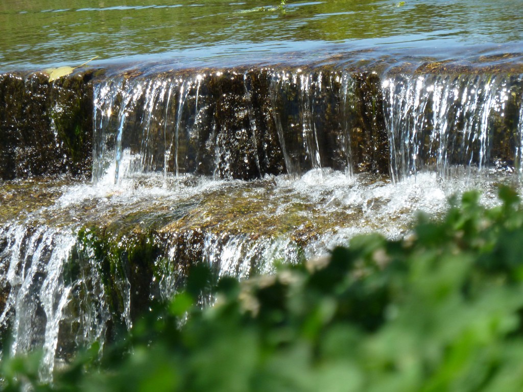 1ºindiv. - Natália Azevedo