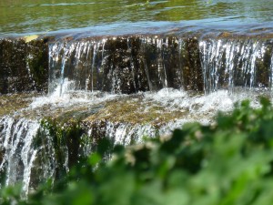 1ºindiv. - Natália Azevedo