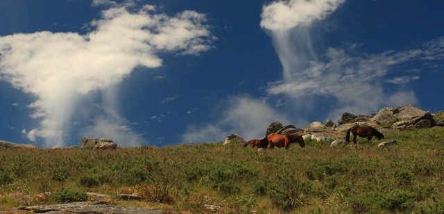 Serra de Arga Serra de Arga