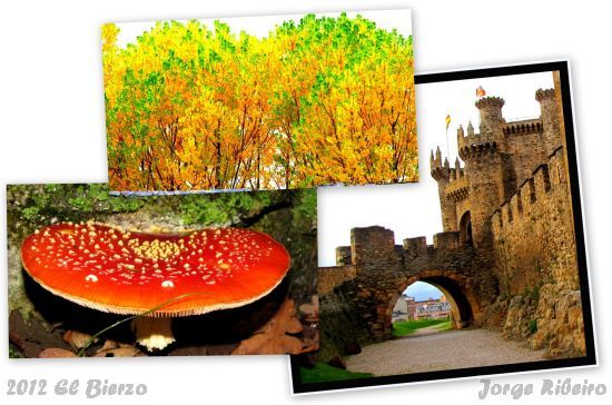 2012.11.01-El Bierzo - Jorge Ribeiro - colagem
