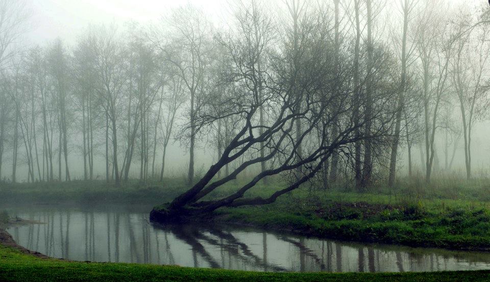 António Freitas - CMVNF