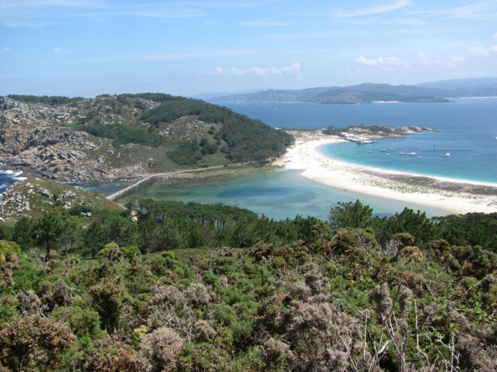Cies
