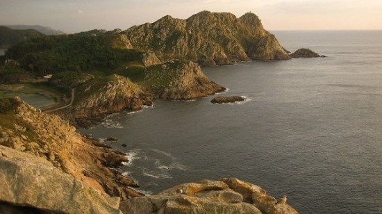 Cies