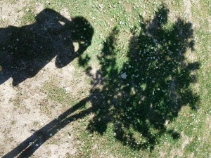 Tema 2 - Natália Azevedo